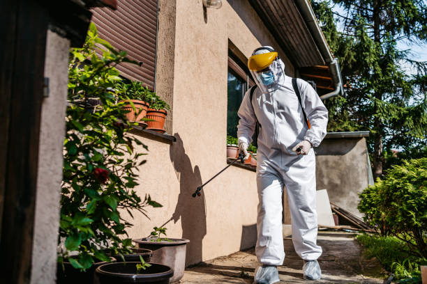 Best Rat Extermination Near Me  in East Mountain, TX