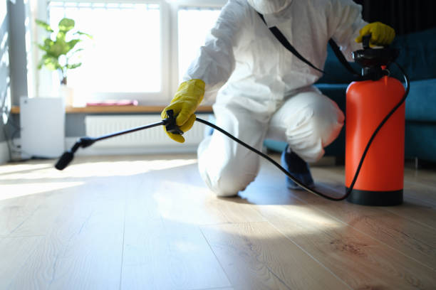 Best Local Pest Control Services  in East Mountain, TX