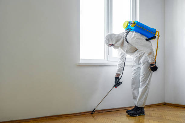 East Mountain, TX Pest Control Company