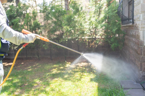 Professional Pest Control in East Mountain, TX